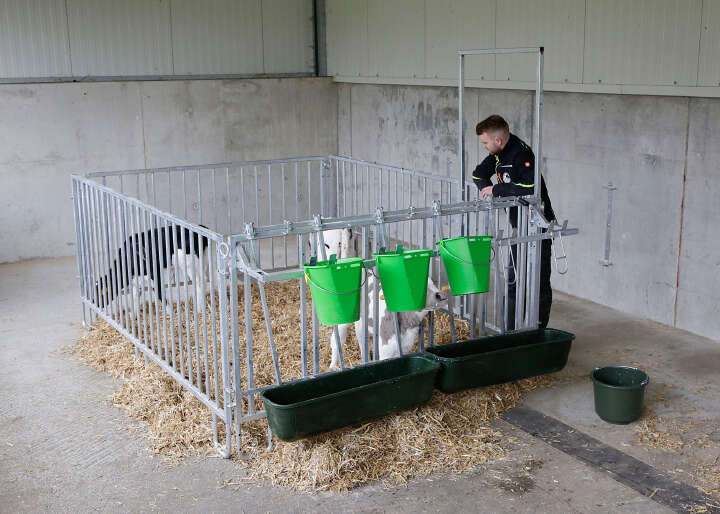 KERBL Modulare Zaunaufstallung Fressgitter